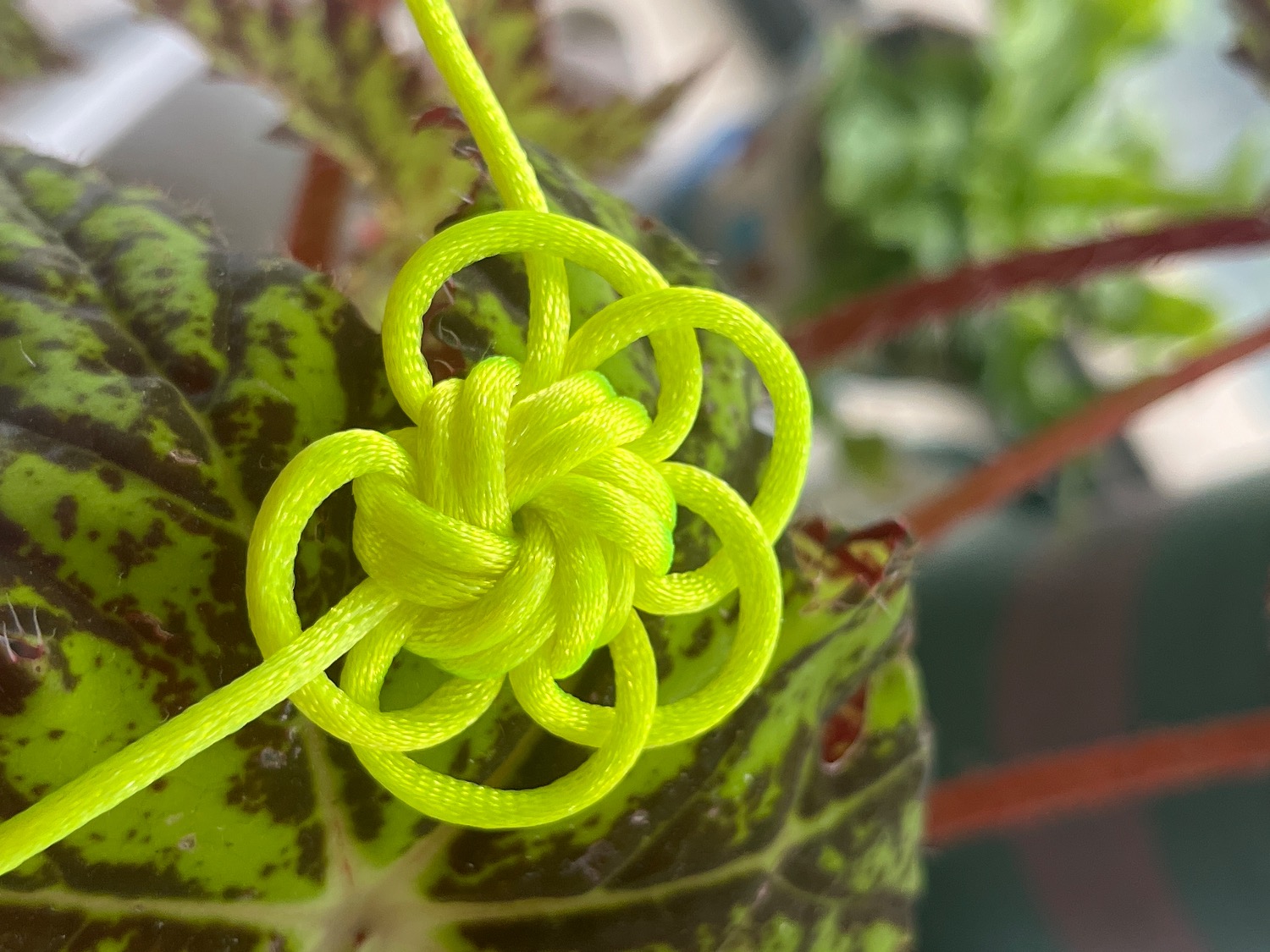 й̳   ()Ľ̳ 103806ppaq5jp265526uqs