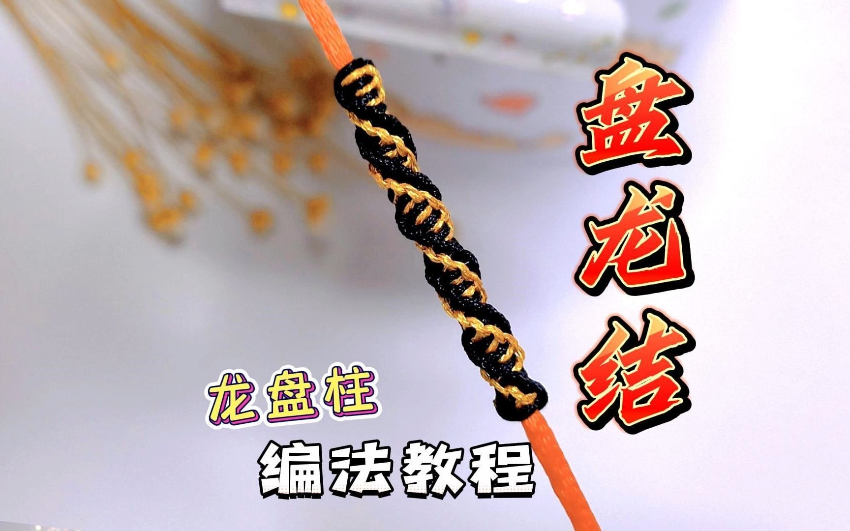 й̳ ѧġ᡿ϸ෨̳  Ƶ̳ 113730lhzzmqh1se9g8n6h