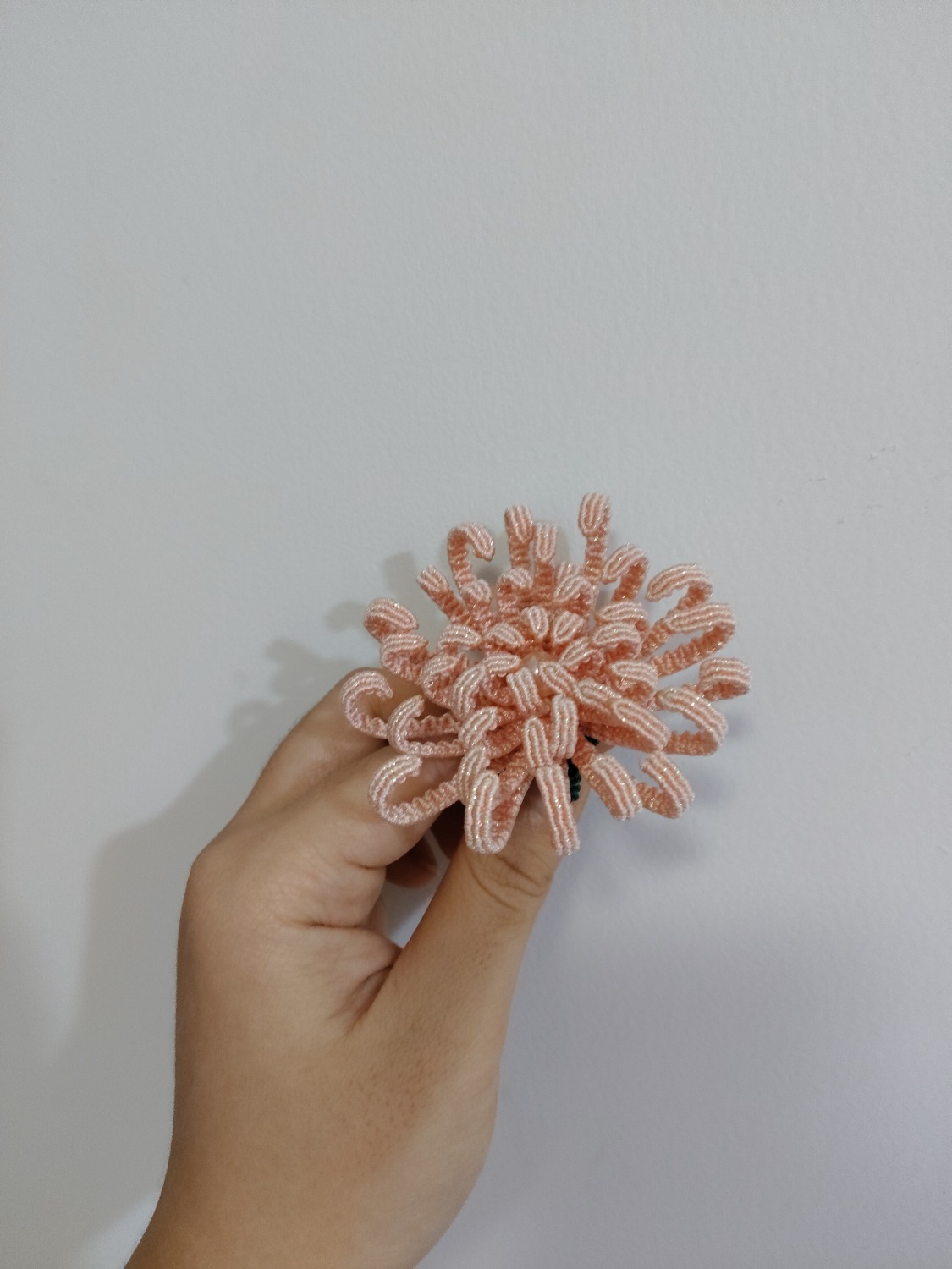 й̳ һǺܾµľջ  Ʒչʾ 