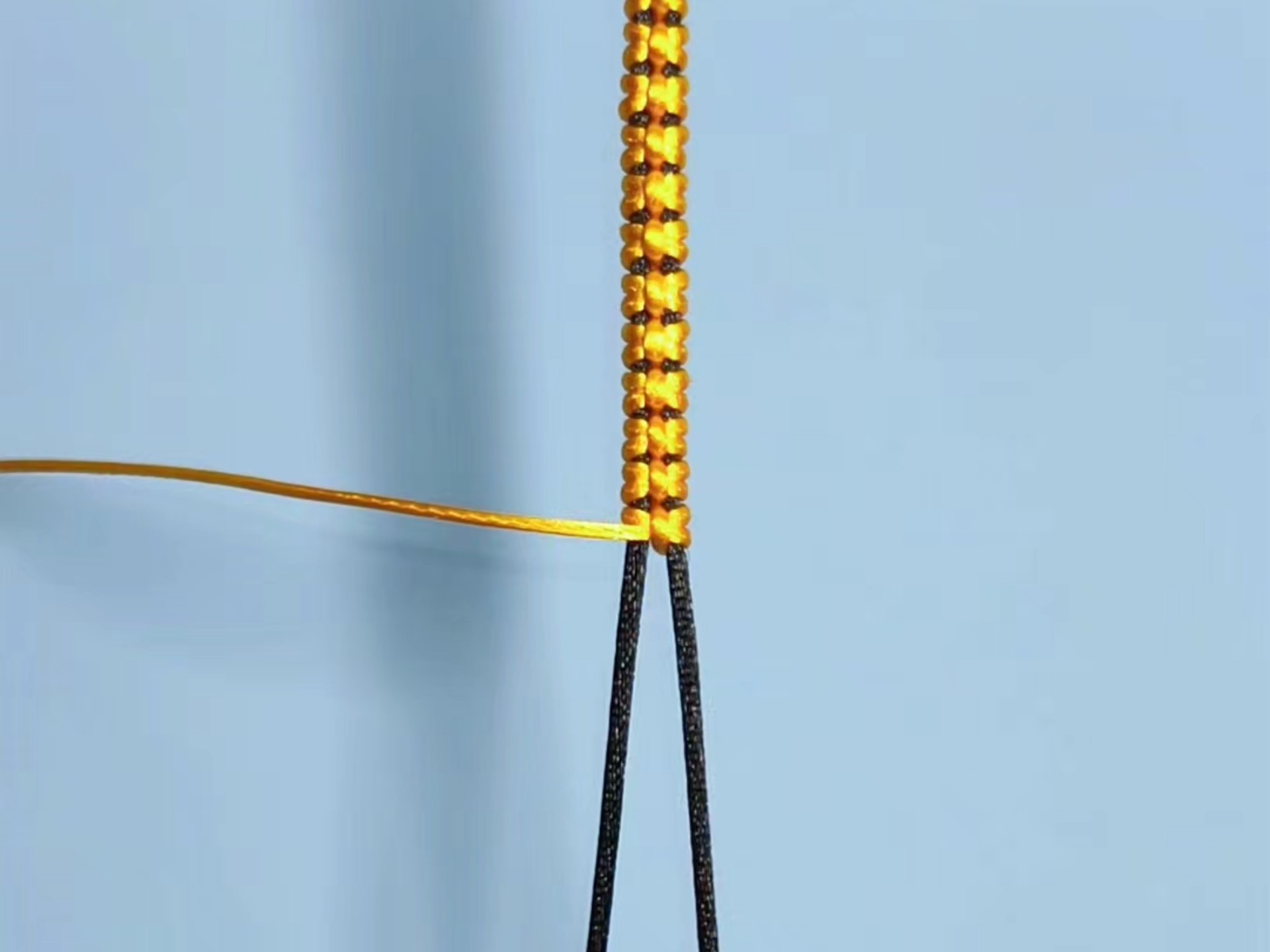 й̳ ɫ෨  Ƶ̳ 100558oc6o36om0z6633q3