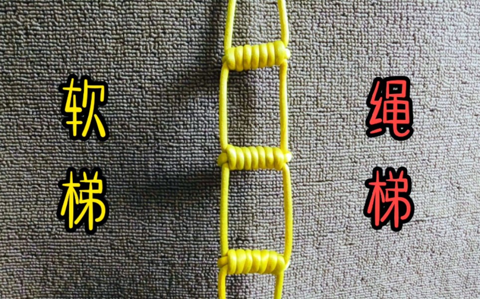 й̳ #㽱#ݵһּ򵥱෨Яǳ㣬رʺϸ⻷ʹ  Ƶ̳ 143034zumb16b5n2m5b265