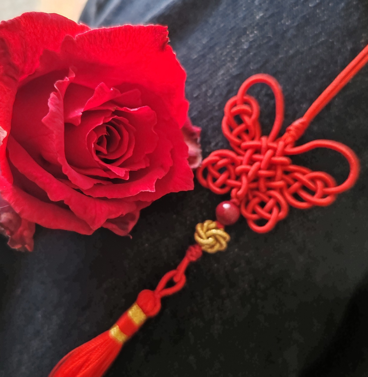 й̳ й  ͼĽ̳ 205150culwsw2wxr6q6rxn