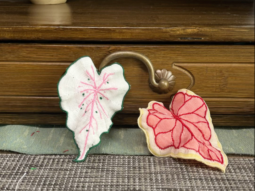 �й�����̳ �����ղ�Ҷ�����  ��Ƶ�̳��� 165759q68j000tvjp4n7s2