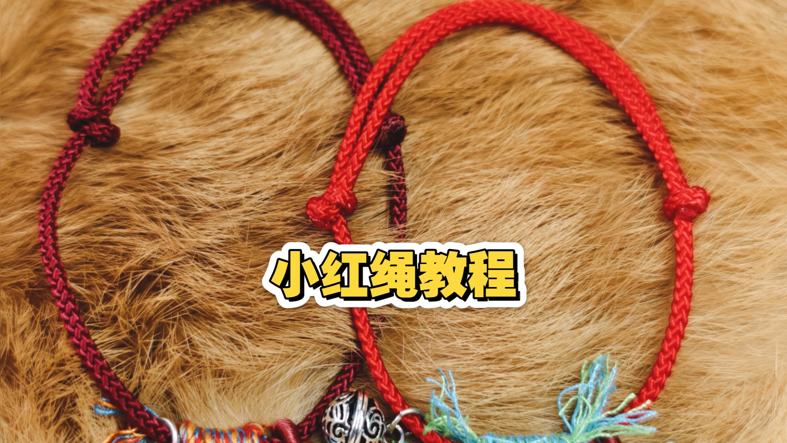 �й�����̳ DIY������������С�����̳�  ��Ƶ�̳��� 203445s9v2mxx577lxj02q