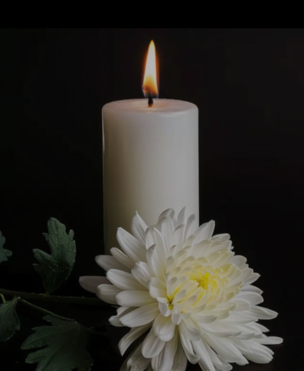 �й�����̳   ���ͽ�ֱ�� 172622es64vxqc3q4xxq46