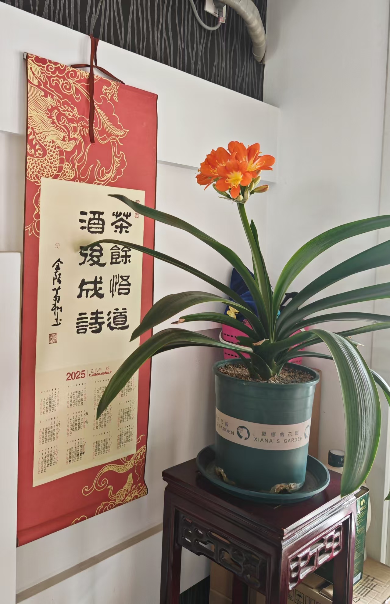 �й�����̳   ���ͽ�ֱ�� 144727bp7dsvt577dywybv