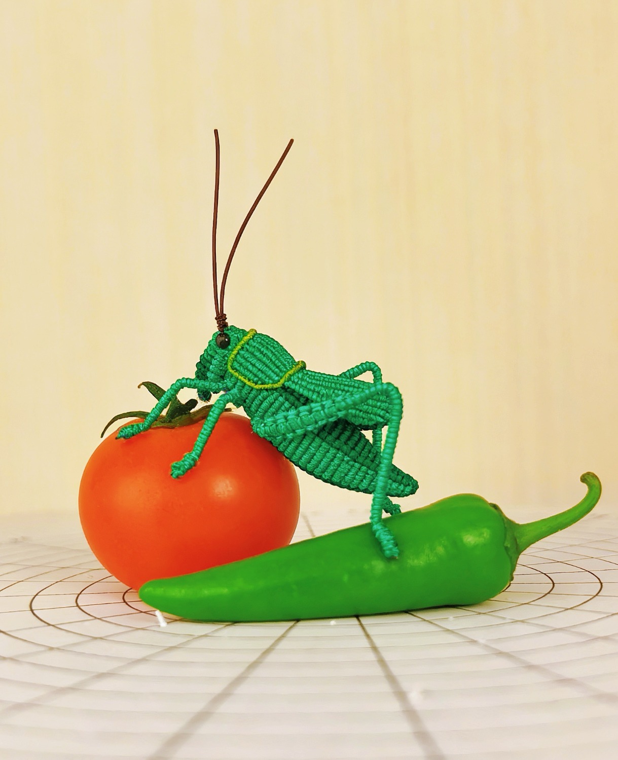 �й�����̳ ������½̳�  ͼ�Ľ̳��� 111730q5ej26pcc7qz65cc