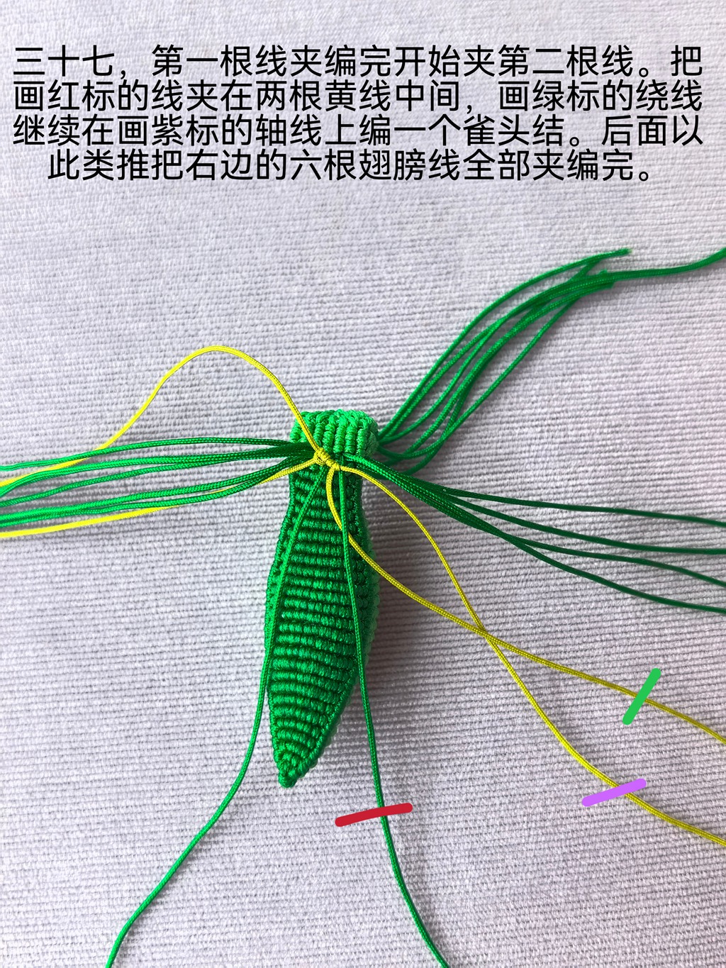 �й�����̳   ͼ�Ľ̳��� 210922wrj0tg648zm14z8m