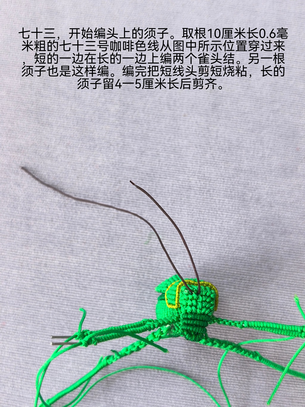 �й�����̳   ͼ�Ľ̳��� 211232x9ff0p1ac5l8ggzk