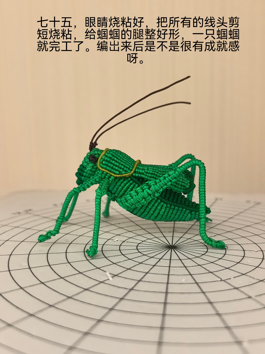 �й�����̳   ͼ�Ľ̳��� 211232znz2tfgn4xbh2n4f