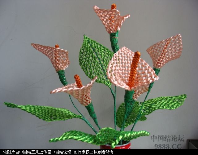 й̳ ֣ͤʦѧûҶӾñķҶӣҶָ ,,ͤ,ʦ, Ʒչʾ 10062415431b8a706f07828716