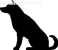 й̳   ̳ʹð 1008141614b01cee85bf38d5dc