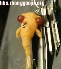 й̳ ɽ֮еС С,Сڶʲô ̳뽻 1011041702bb5e1cf57f6a0303