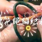 ˫˻̳֯