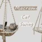 ���߱����̳�-����è�����С���������ϳߴ����飩