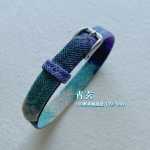 100��������ս��99/100��������