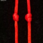 ��ʶ˫��������Ա