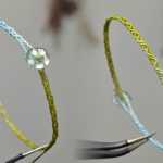 z�������������̳�