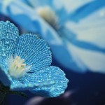 �ǳ��������̳̣�һ��