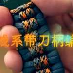 ˫ϵ
