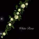 ������õ���߱���������