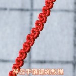 �������������̳̣����걾���������ףС��������꼪�����⣡