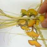 ˣӰɡǰҲһµˣḻĽɫʲܹյ˼Ŀ延ΨӲ