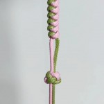 ������β���