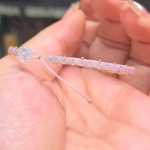 0.1��ϸ����������ǿ��֢�Ѻá����Ǳ�����ķ�ʱ��