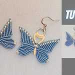 �����̳�-����������������ϳߴ����飩