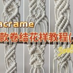 ?���ֱ�ѧ��10����Ứ����֯�̳̣��ϣ�
