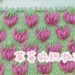 ݮ?ݮ̳֯.С?