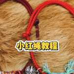 DIY������������С�����̳�