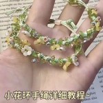 ���������̳�