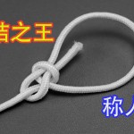 ˳˽ᱻΪ֮ѧܽв鷳