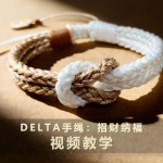 ��������֯�̡̳�Deltaԭ����Ʒ��� �в��ɸ�