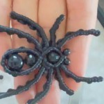 ���ࣺ֩����Ƶ�̳�