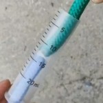 ʵ