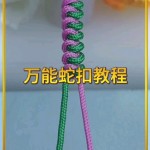 �����߿۱෨�̳�