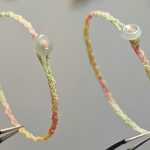 ��Ҷ���������̳�