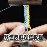 ÿ˫ɫֻ˫ɫб̳#ֹ֯ѧ #̳ #ɽѧ #շ #