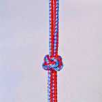 ������β�̳̣�Ŧ�۽�ı෨�̳�