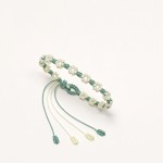 ���������̳�